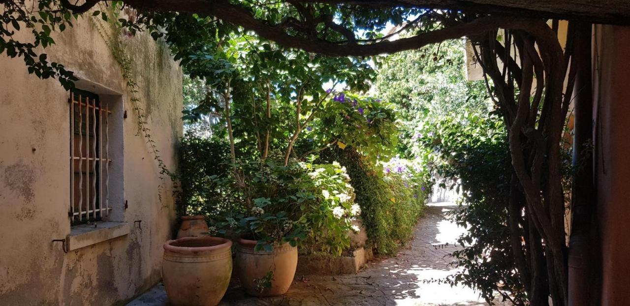 L'Odyssee Provencale, Un Duplex De Charme De 2 Chambres Au Pied Du Village Medieval De Bormes-Les-Mimosas, Offrant Des Prestations Haut De Gamme Et Une Superbe Vue Sur Le Massif Des Maures מראה חיצוני תמונה